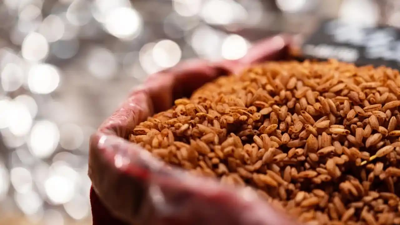 Bakliyat, Pirinç, Yumurta ve Tavukla Aylık Market Harcamalarında Tasarruf Yöntemleri