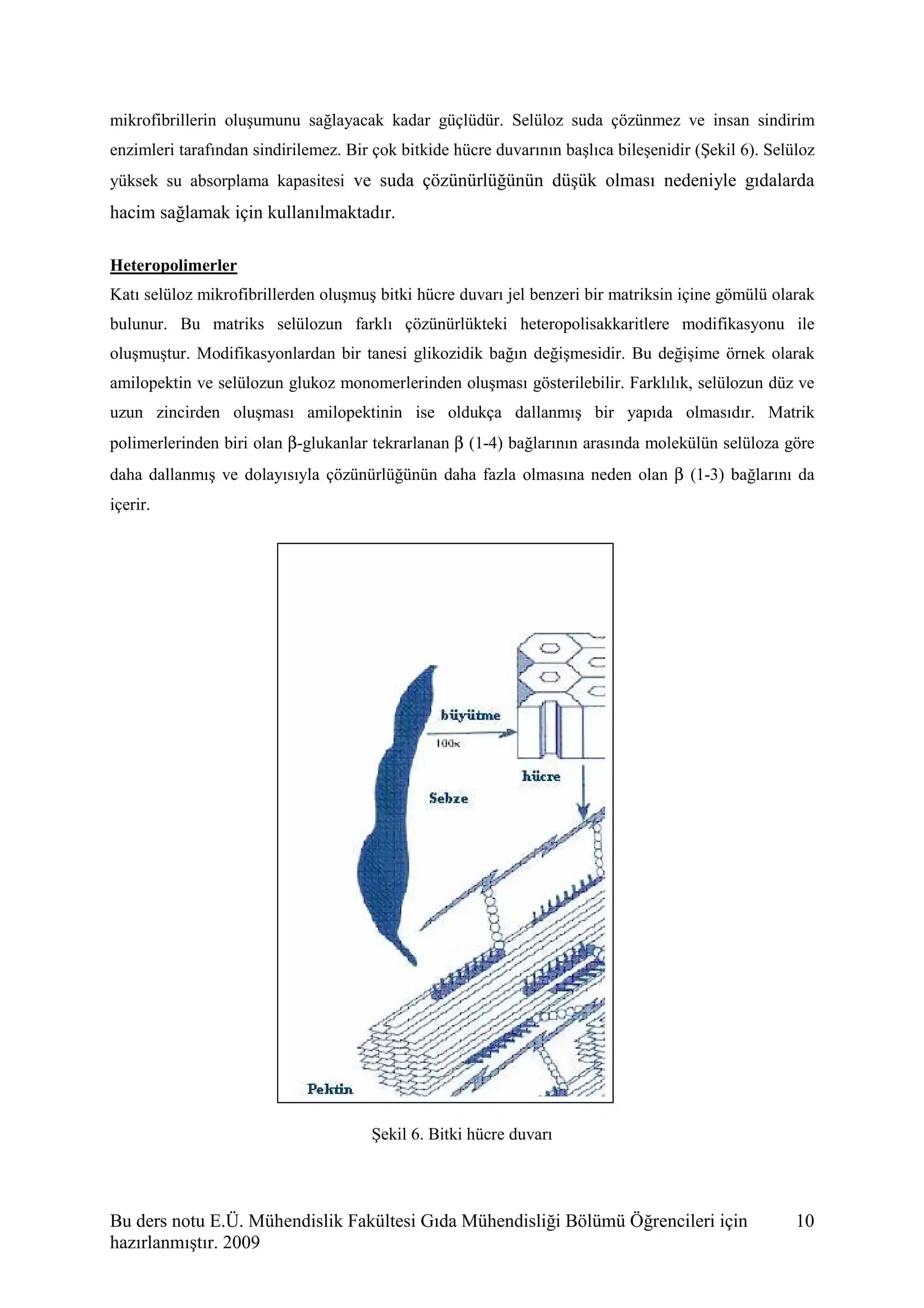 Donmuş Muzların Çözülmesi ve Muz Ekmeği İçin Kullanımı Hakkında Detaylı Bilgi
