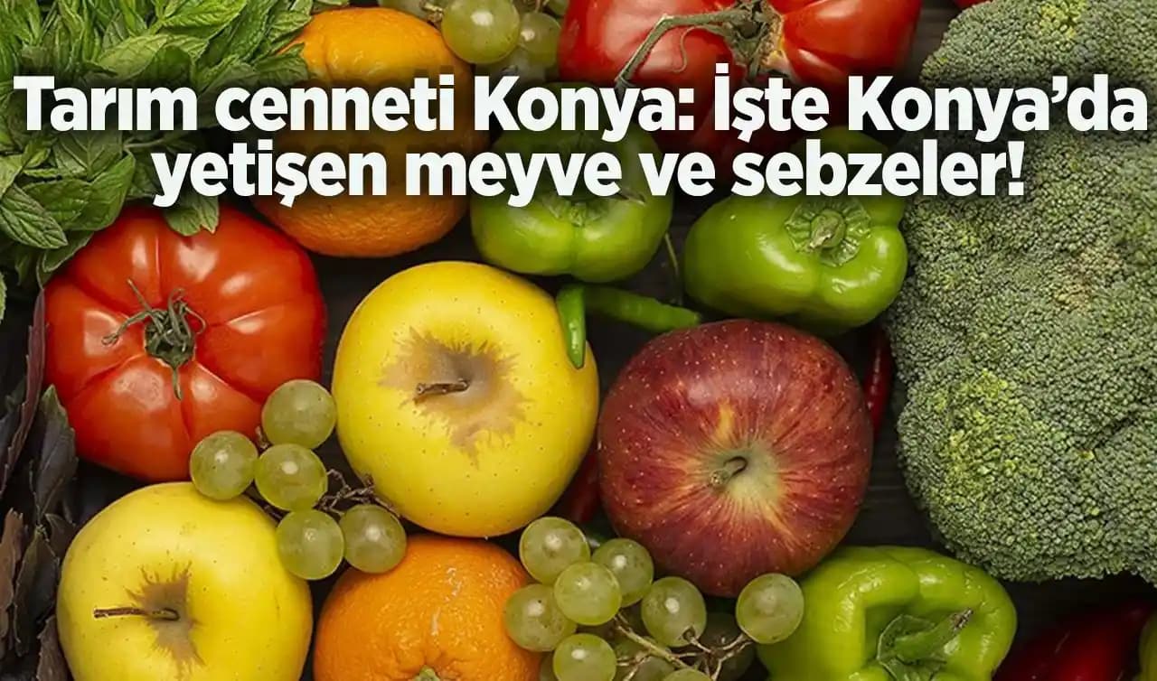 Gıdaların Daha Hızlı Bozulmasının Nedenleri ve Etkileyen Faktörler Üzerine İnceleme