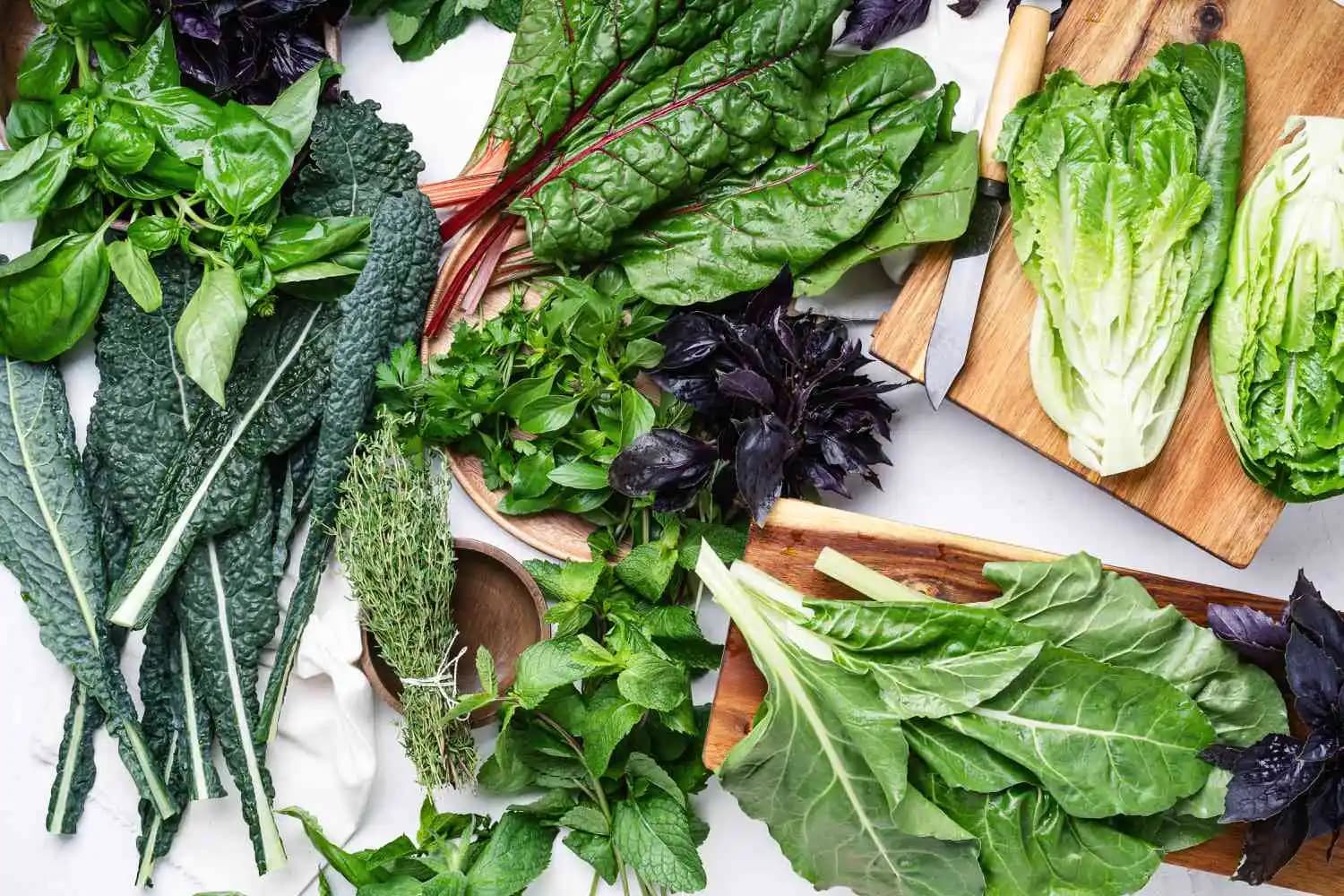 Hardal Yeşillikleri ve Kara Lahana İçin Yer Tasarruflu Saklama ve Pişirme Yöntemleri