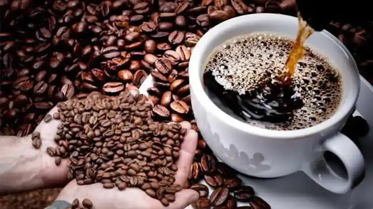 Kahve Alımında Fiyat ve Kalite Dengesi: Çekirdek ve Öğütülmüş Kahve Tasarruf Yöntemleri