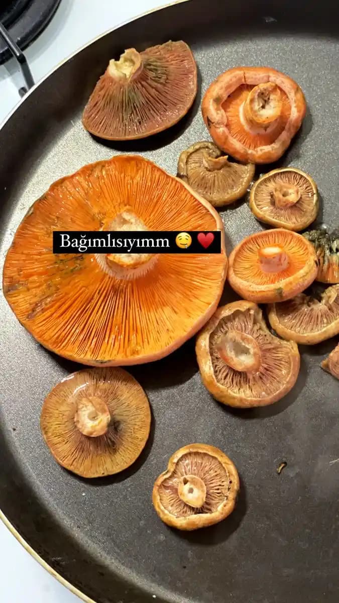 Tek Kişilik Pratik Yemek Hazırlama Yöntemleri ve Destek Kaynakları