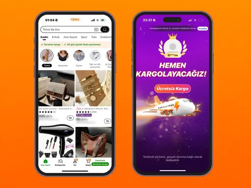 Temu Uygulamasının Alışveriş Bağımlılığına Etkisi ve Tasarruf ile Minimalizm Yaklaşımları