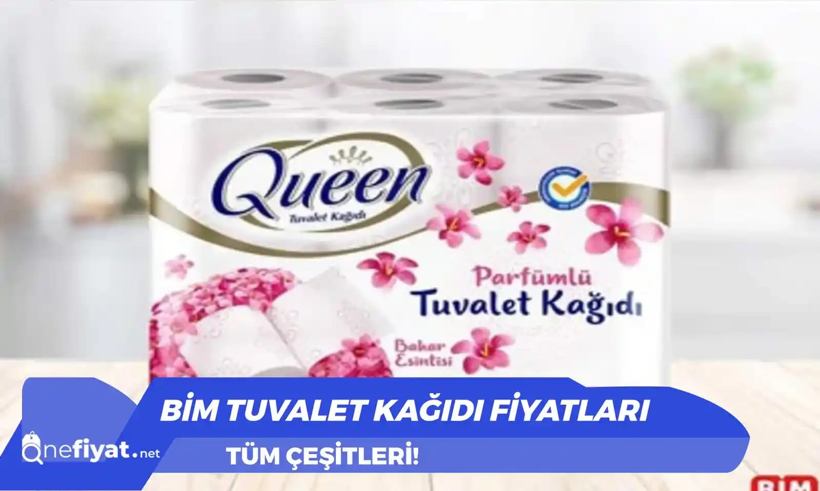 Tuvalet Kağıdı Kalitesindeki Düşüş, Nedenleri ve Alternatif Hijyen Çözümleri