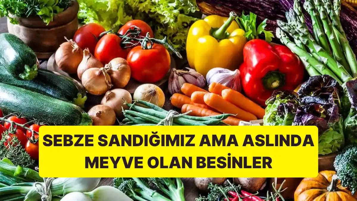 Ucuza Alınıp Sürekli Yenilenen Ürünler Yerine Kalite Yatırımının Önemi ve Dayanıklılık