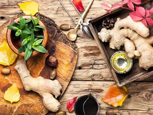 Zencefilin Günlük Kullanımı, Saklama Yöntemleri ve Sağlık Faydaları Üzerine Detaylı İnceleme