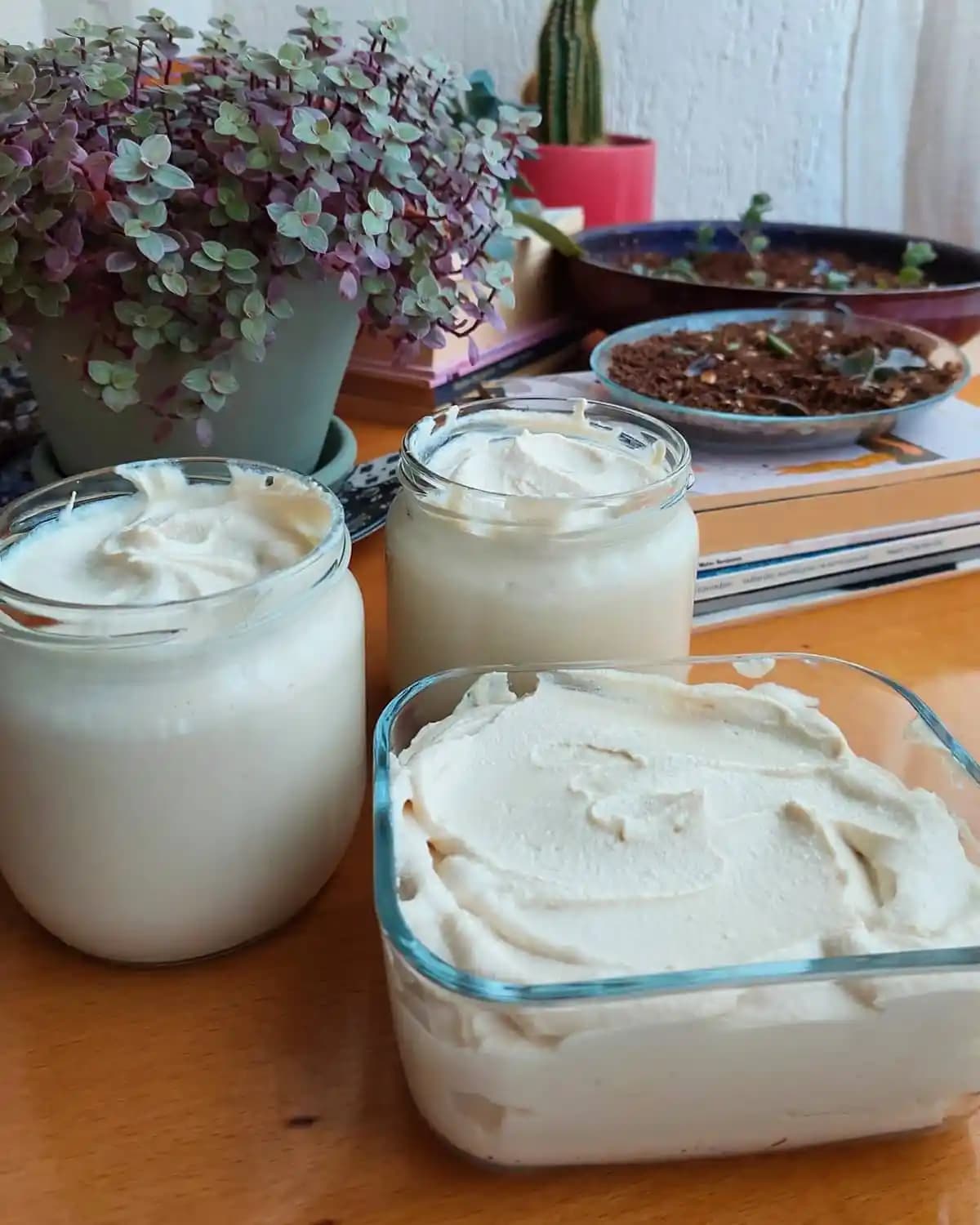 Bütçe Dostu Tariflerde Süt Ürünlerinin Aşırı Kullanımı ve Alternatif Yaklaşımlar