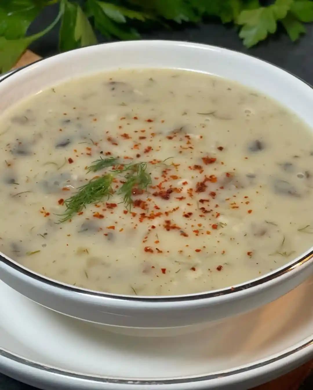 Campbell's Kremalı Mantar Çorbası Yerine Ev Yapımı Béchamel Sosu ve Alternatif Tarifler