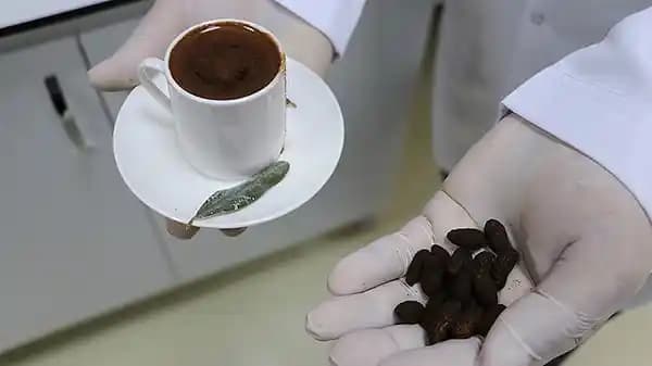 Evde Kahve Yapmanın Ekonomik Yolları ve Kahve Harcamalarının Yönetimi