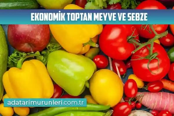 Sebze ve Et Artıklarından Ev Yapımı Çorba Küpleri Hazırlama Yöntemleri ve Saklama Teknikleri