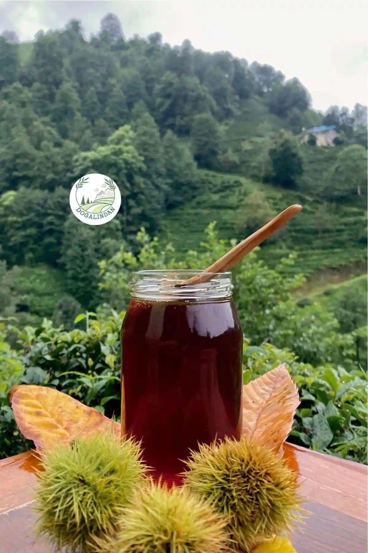 Artvin'in Doğal Kestane Balı: Sağlık ve Lezzetin Buluşması