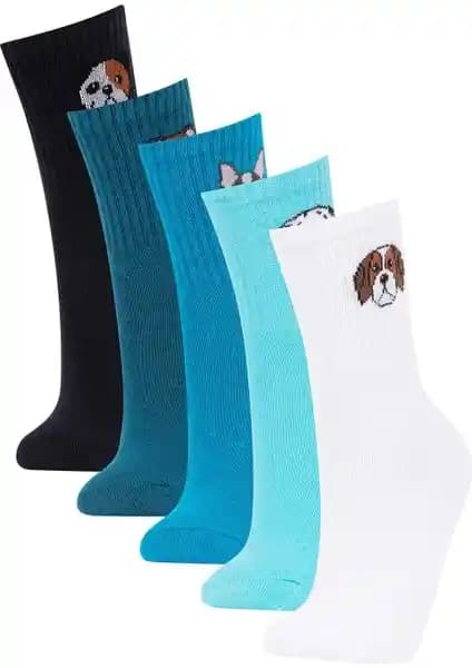 DeFacto Erkek Çocuk Çorapları Karşılaştırması: Uzun ve Patik Modelleri Özellikleri