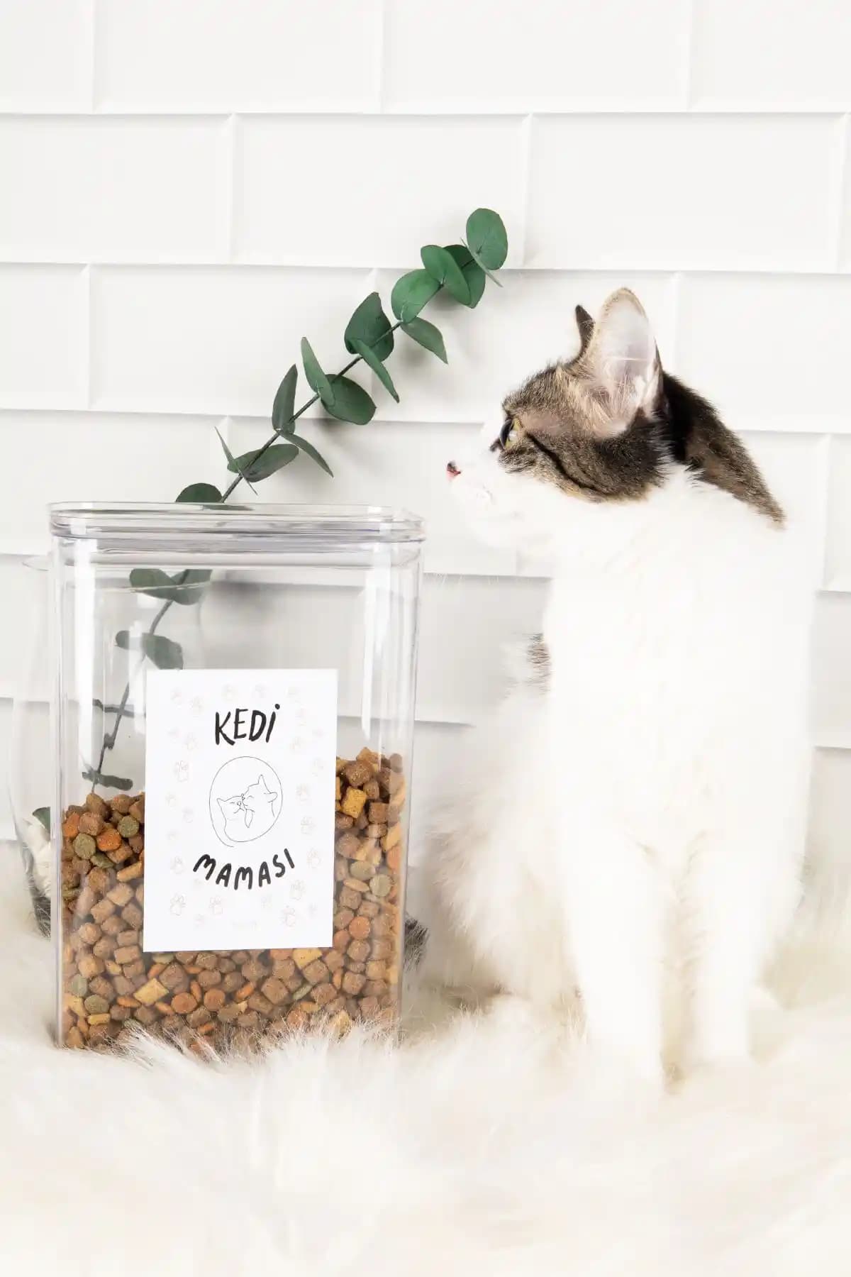 DNS HOME Kedi Maması Saklama Kabı 3000 ml Vakum Kapaklı ve Dayanıklı Tasarım