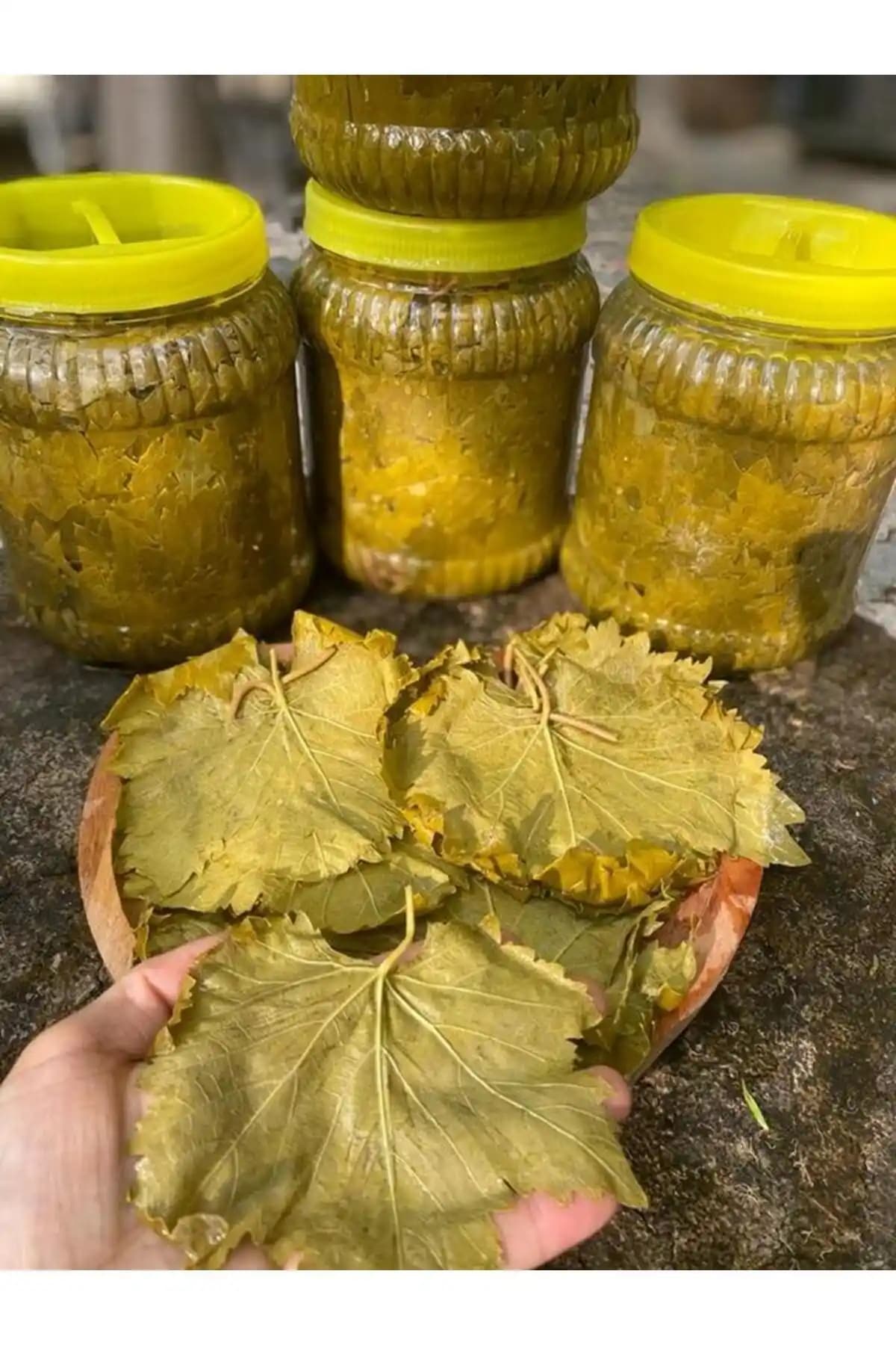 Hayriye Ana Salamura Asma Yaprak 1 Kg: Pratik ve Lezzetli Dolma Malzemesi