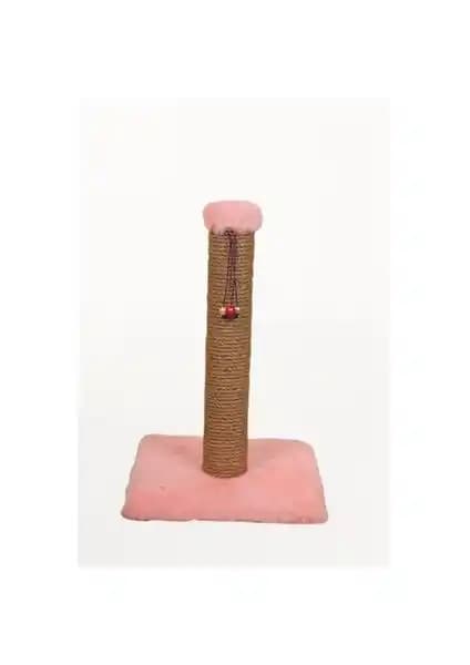 Kedi Tırmalama Ürünleri Karşılaştırması: Boncuklu Oyuncaklar ve Karton Platformlar