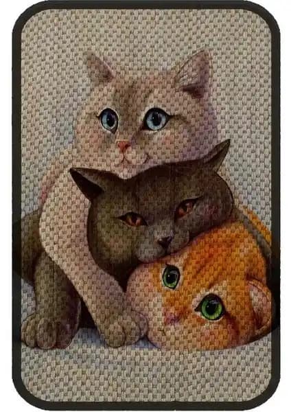 Kedi Tırmalama Ürünleri Karşılaştırması: Paspas ve Tahta Seçenekleri