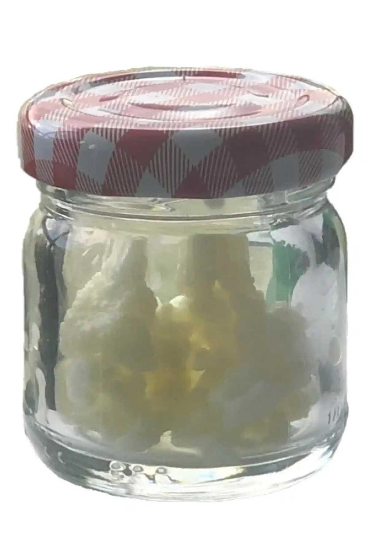 Kefiri Kafkas Kefir Mayası ile Evde Sağlıklı ve Doğal Kefir Üretimi Rehberi