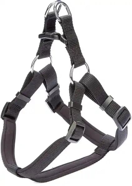 Köpek Göğüs Tasmaları Karşılaştırması: Konfor ve Dayanıklılık Analizi