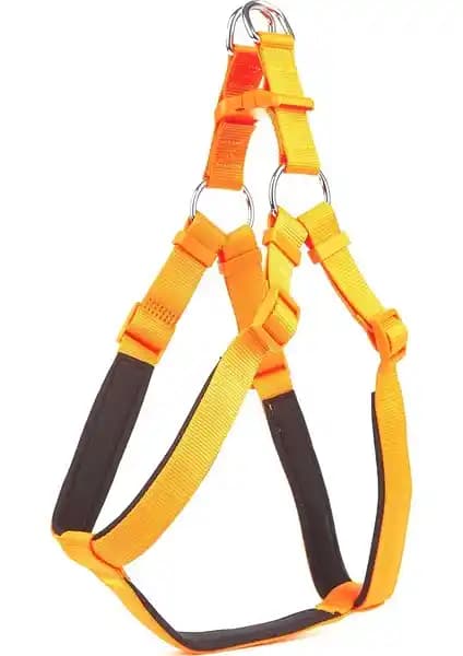 Köpek Göğüs Tasması Karşılaştırması: Konfor, Dayanıklılık ve Kullanım Kolaylığı