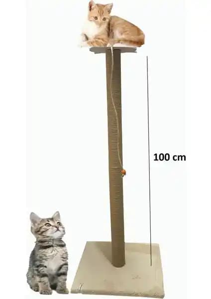 Nursoft Kedi Tırmalama Tahtaları Karşılaştırması: Büyük ve Stepli Modellerin Özellikleri