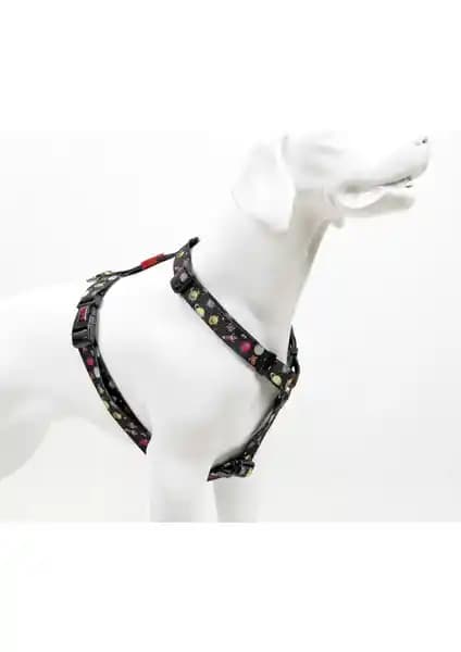 TailPetz Space H-tipi Göğüs Tasması: Konfor ve Güvenlik Sunan Modern Köpek Tasması