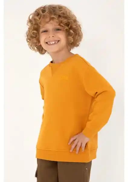 U.S. Polo Assn. Erkek Hardal Sweatshirt ve Zepkids Kapüşonlu Kulaklı Sweatshirt Karşılaştırması