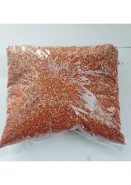 Eren Pet Organik Kızıl Dal Darı Kuşlarınız İçin Doğal ve Sağlıklı Beslenme Seçeneği