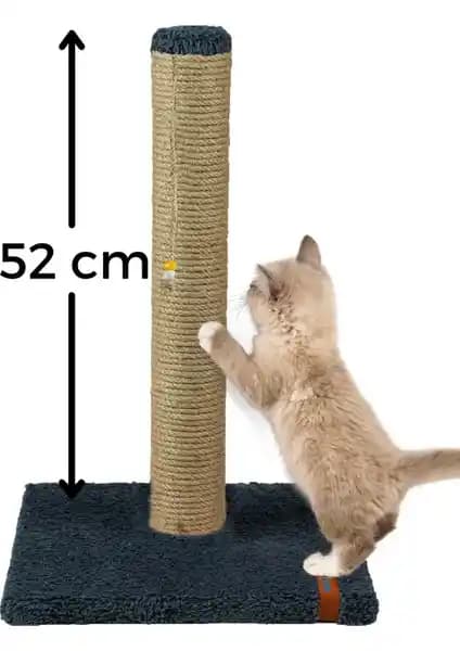 Pugalo Tırmalama Tahtası Karşılaştırması: Lüx ve Sarı Modelleri Analizi