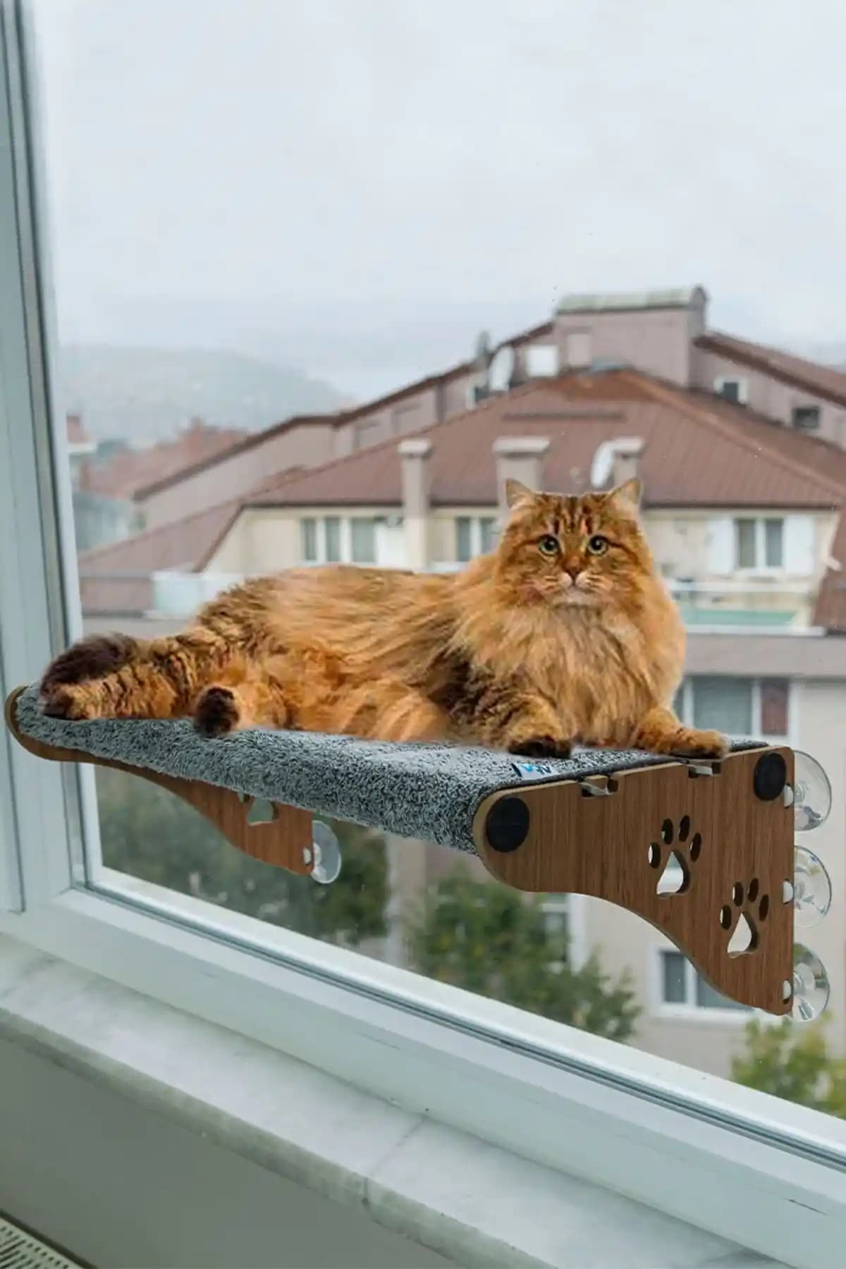 ATA HOME Kedi Yatakları Karşılaştırması: Büyük Boy ve Yeni Model Ürünlerin Özellikleri