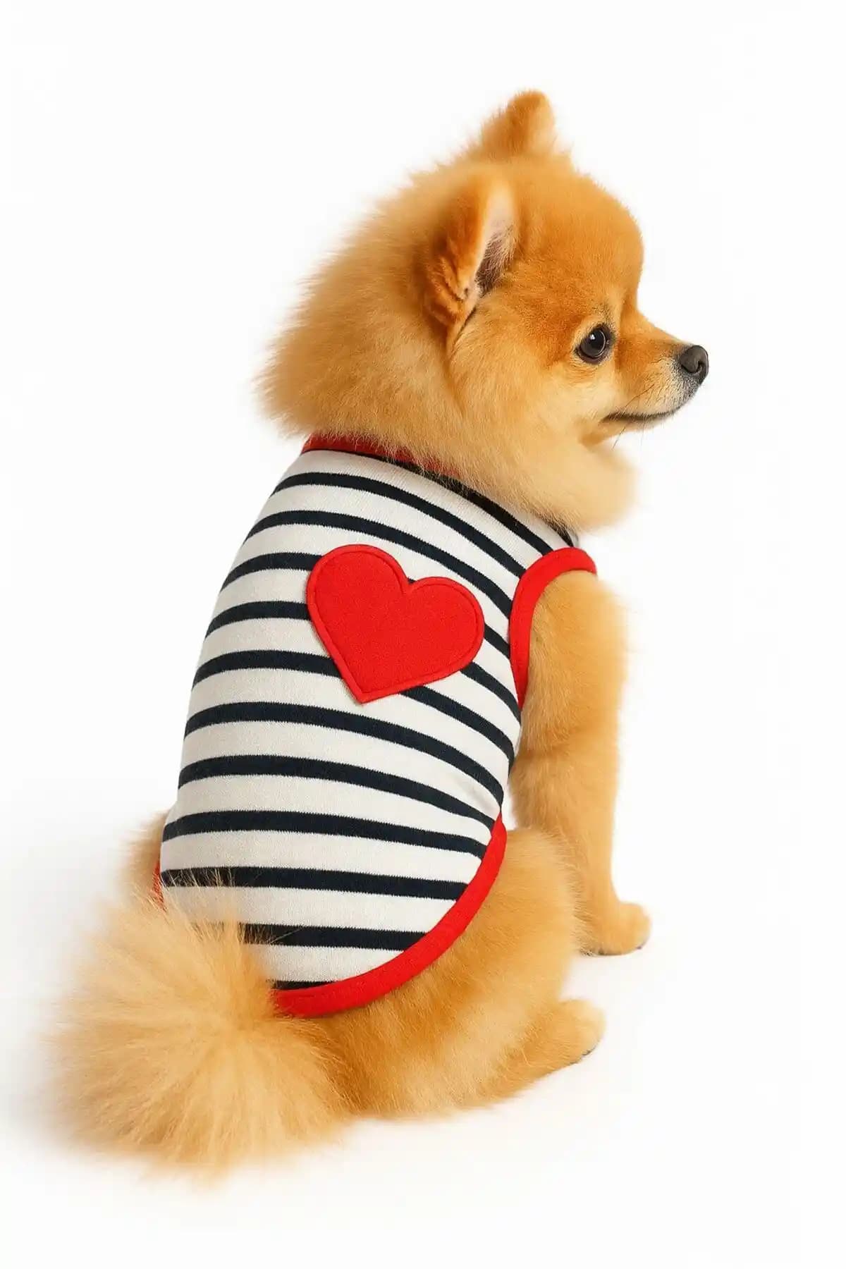 DOGİ&DOG Küçük Irk Köpek Atletleri Karşılaştırması ve En İyi Seçenekler