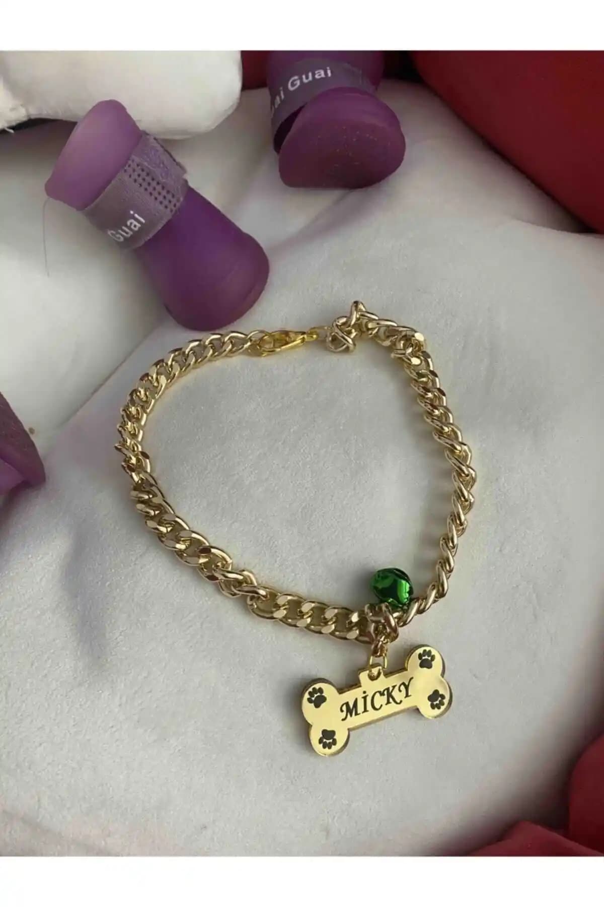 Kedi ve Köpek Tasması Karşılaştırması: Güvenlik, Konfor ve Tasarım Analizi