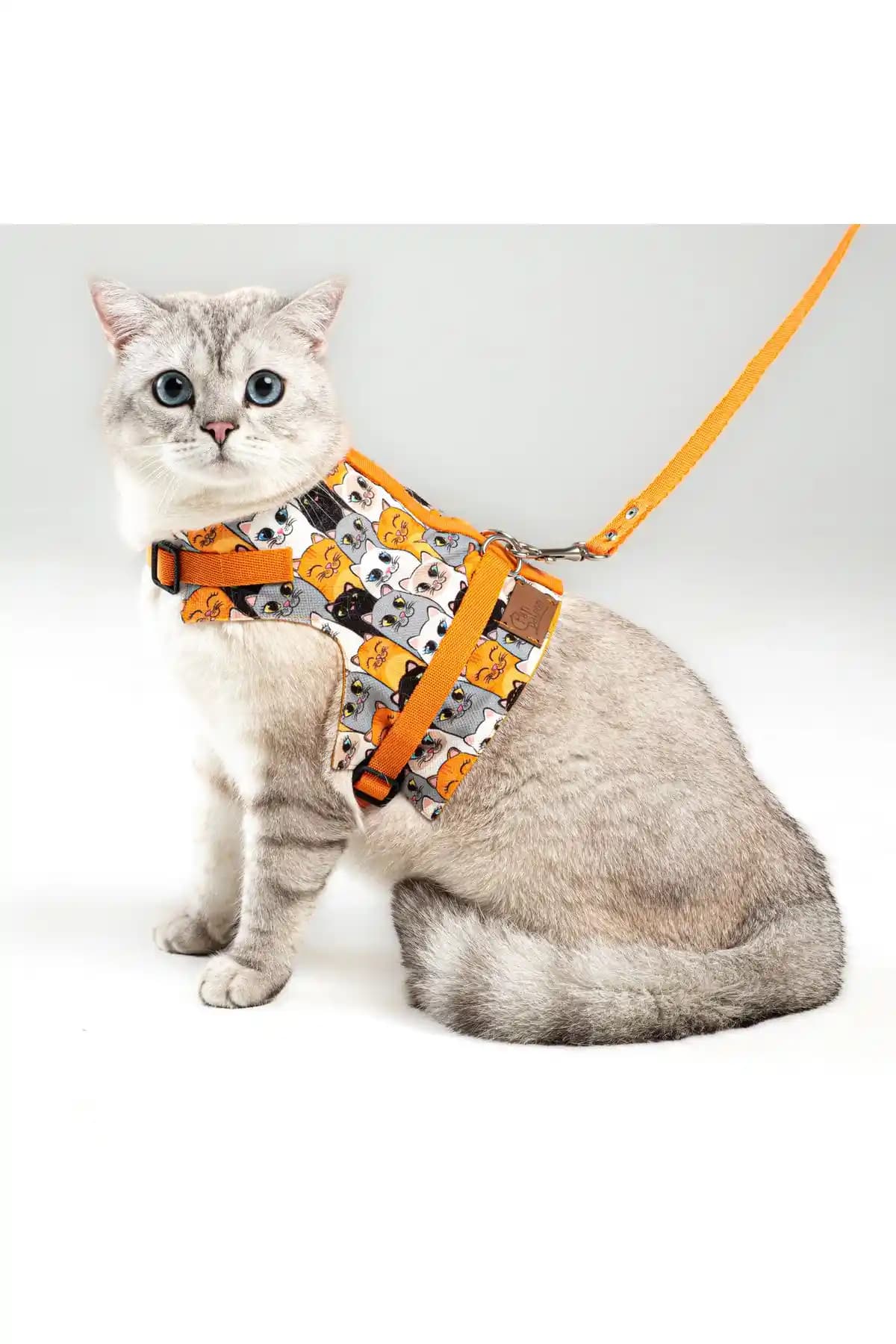 Kedi ve küçük köpekler için karşılaştırmalı tasma analizi ve seçim rehberi