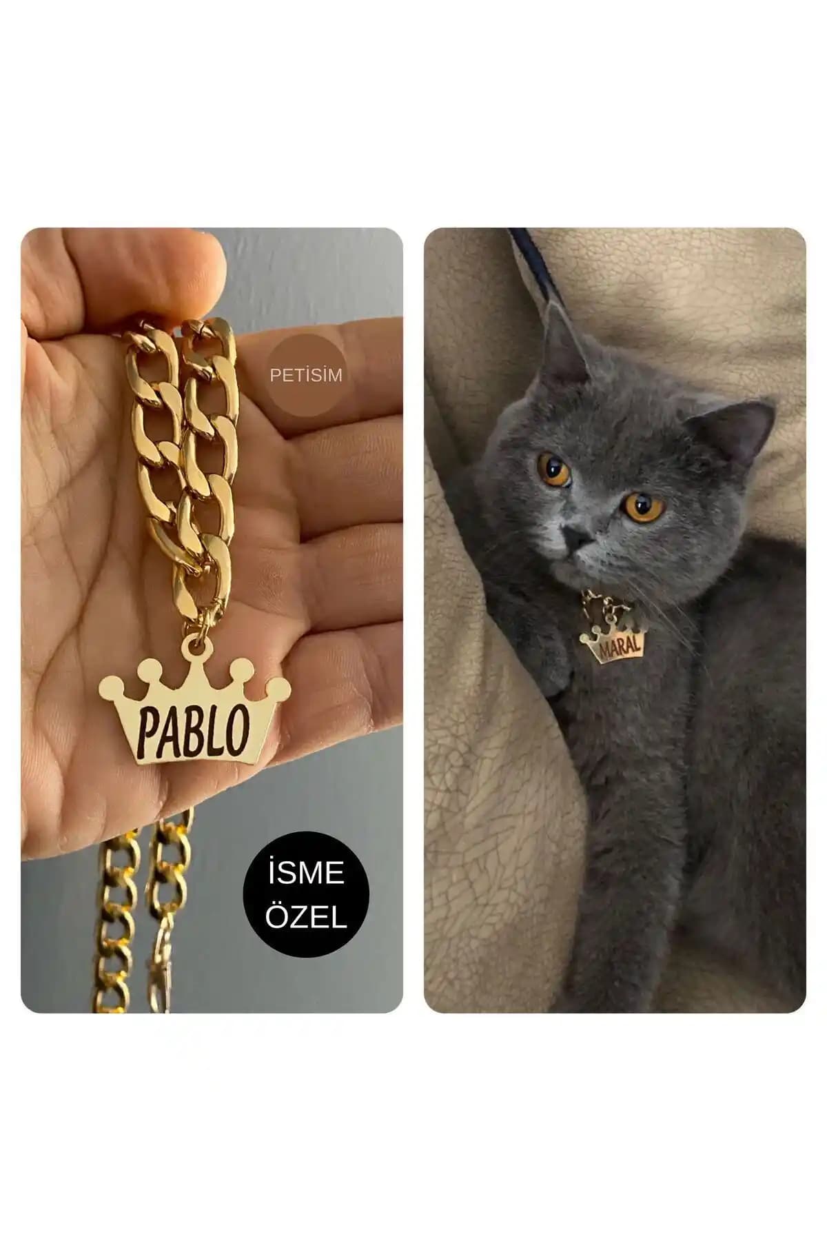 PETİSİM Marka Kedi Tasması Karşılaştırması ve En İyi Seçenekler Rehberi