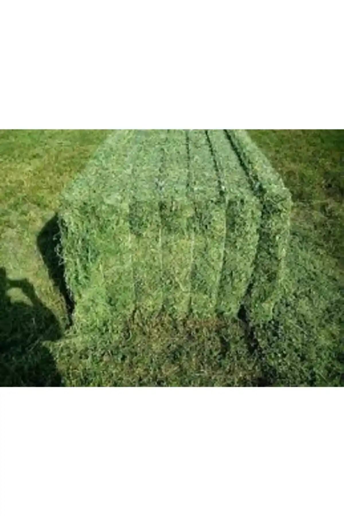 SC Plus Kuru Yonca Kemirgen Otu: Doğal, Sağlıklı ve Yüksek Kaliteli Evcil Hayvan Yemi