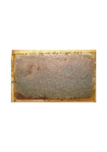 Bal Deposu Sıvas Yıldızeli Çiçek Petek Yayla Balı ve Özmuş Bal Sivas Çıta Bal Karşılaştırması