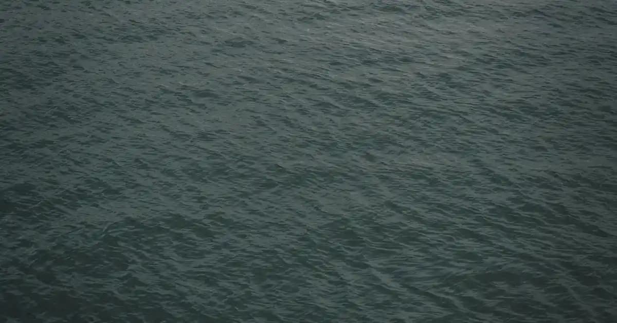 Bütçe Dostu Beslenme Topluluklarında Üyelik, Yargılamalar ve Kapsayıcılık Dinamikleri