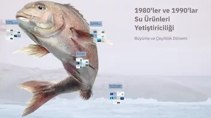 Marketlerde Canlı Istakoz Tanklarının Tarihi, Kullanımı ve Bölgesel Farklılıkları