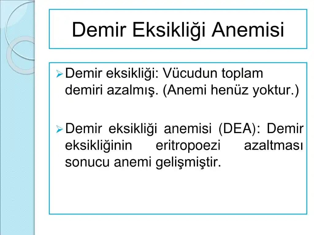 Yüksek Demir İçeren Küçük Porsiyonlu Besleyici Yemekler ve Emilim Yöntemleri
