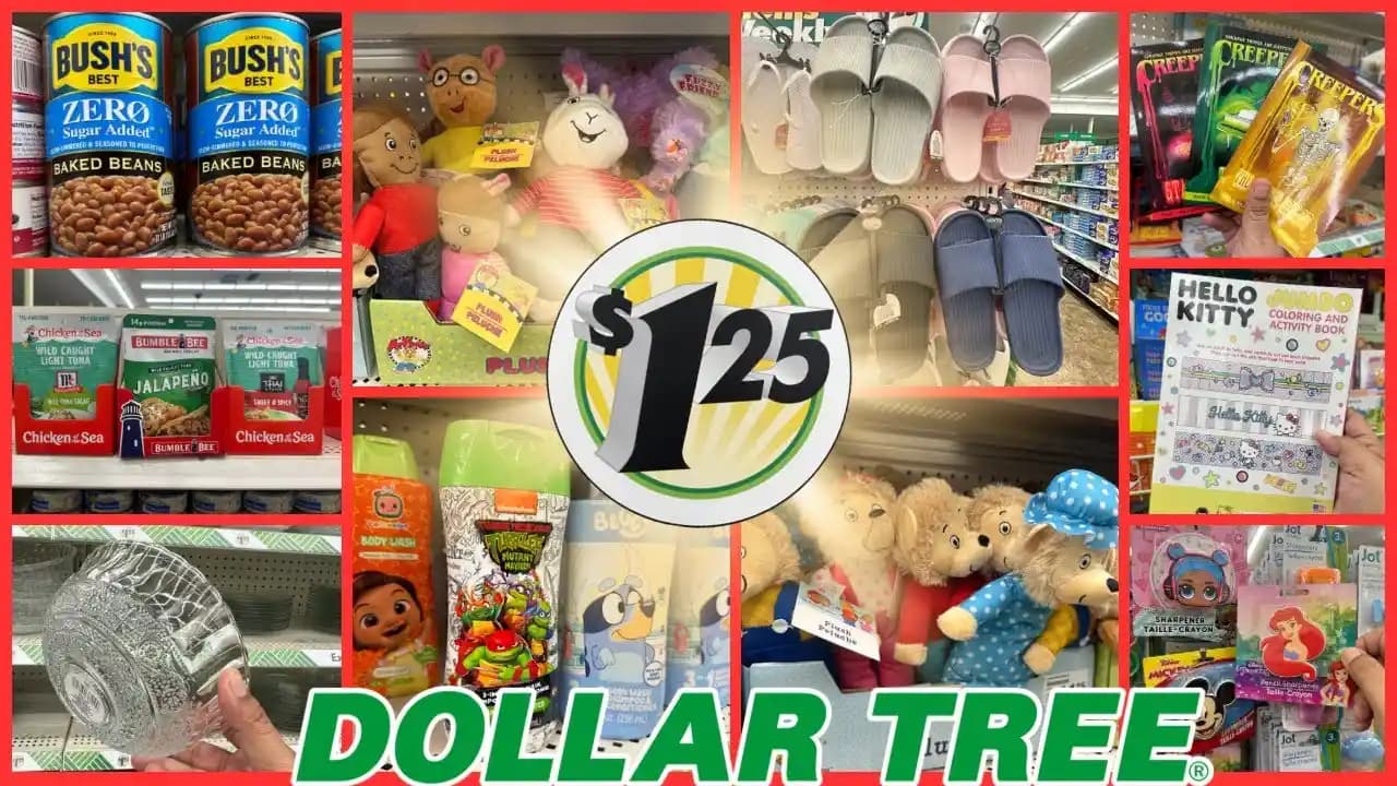 Dollar Tree Gıda Ürünleri ve Aldi Karşılaştırması: Ekonomik Alışverişin İncelikleri