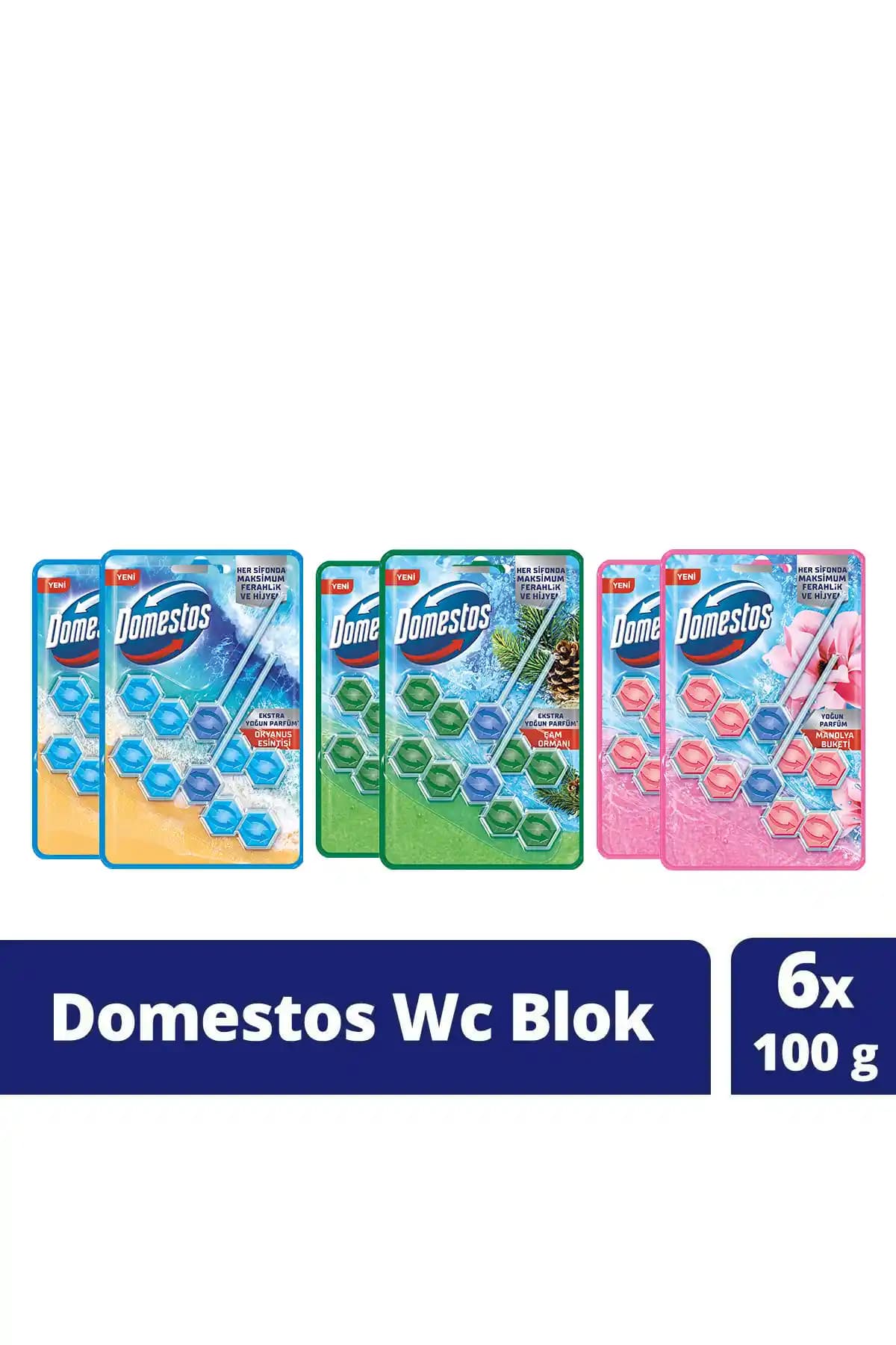 Domestos Tuvalet Bloğu 100 G Çam Ormanı - Temizlik ve Ferahlık Sağlayan Pratik Çözüm