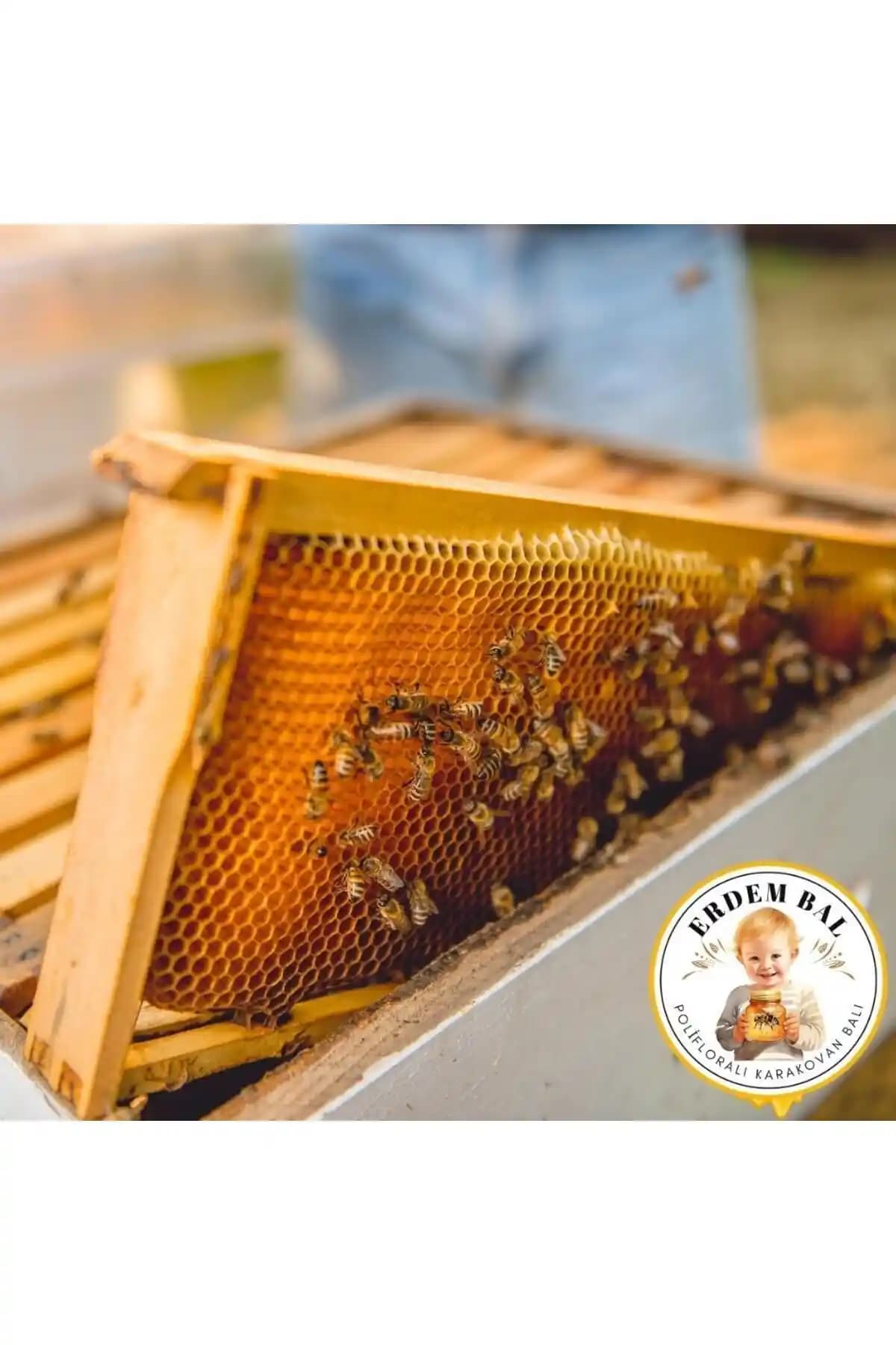 Erdem Bal Doğal Polifloralı Bal: Erzincan'ın Saf ve Katkısız Bal Üretimi ve Kalite Güvencesi