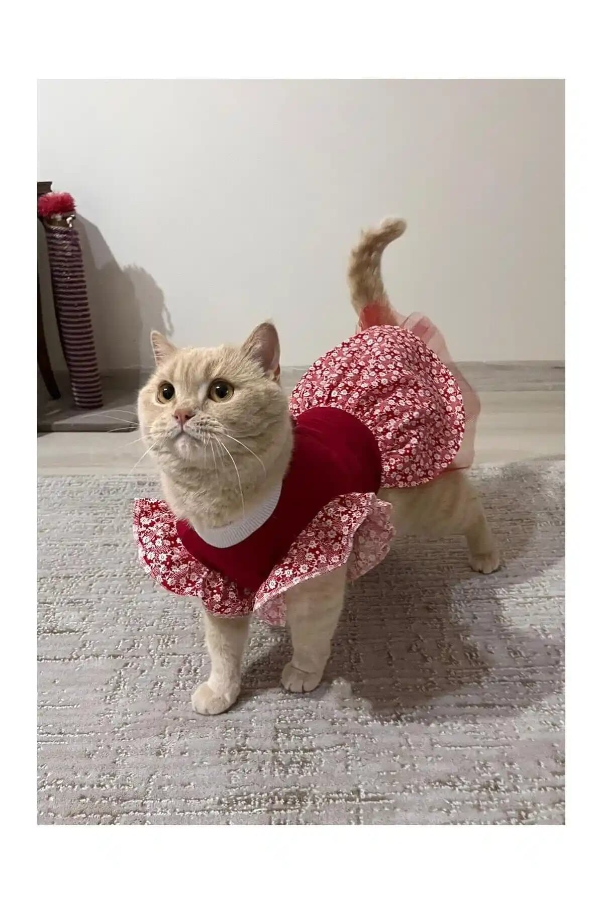 Gobo Çiçek Desenli Papyonlu Kırmızı Kıyafet Evcil Hayvanlar İçin Şık ve Konforlu Tasarım