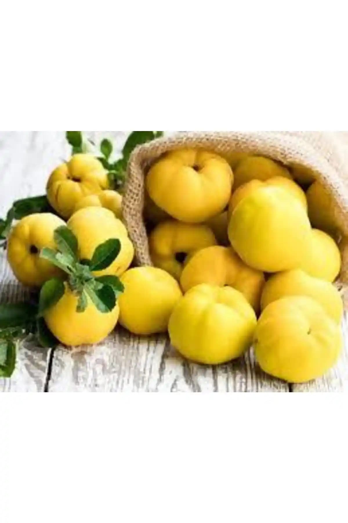 Hamile Marketim Taze Ayva: Doğallık ve Tazeliğin Birleştiği Sağlıklı Meyve Seçeneği