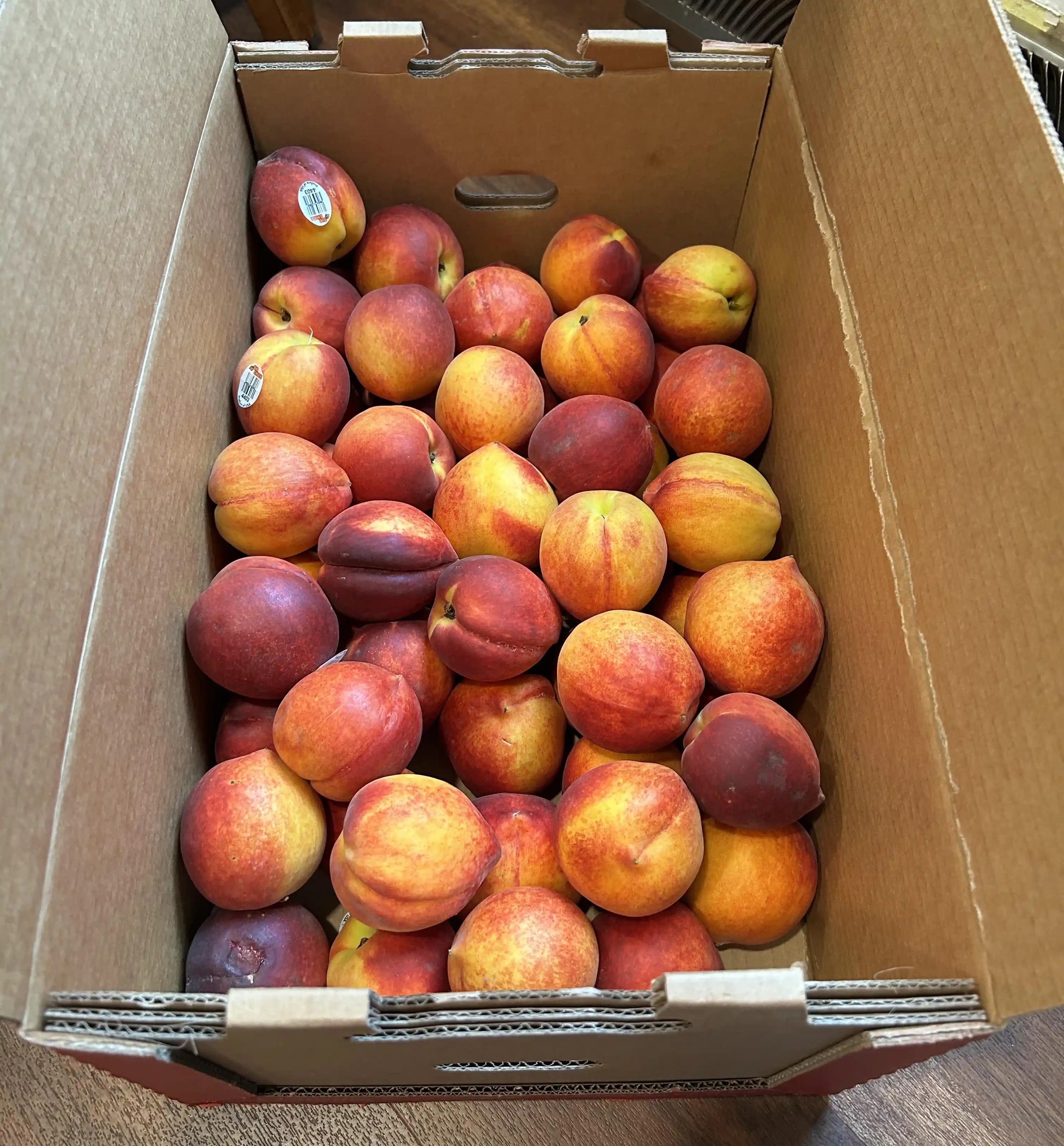 Toplu Meyve Alımı: Ekonomik Avantajlar ve Uzun Süreli Saklama Yöntemleri