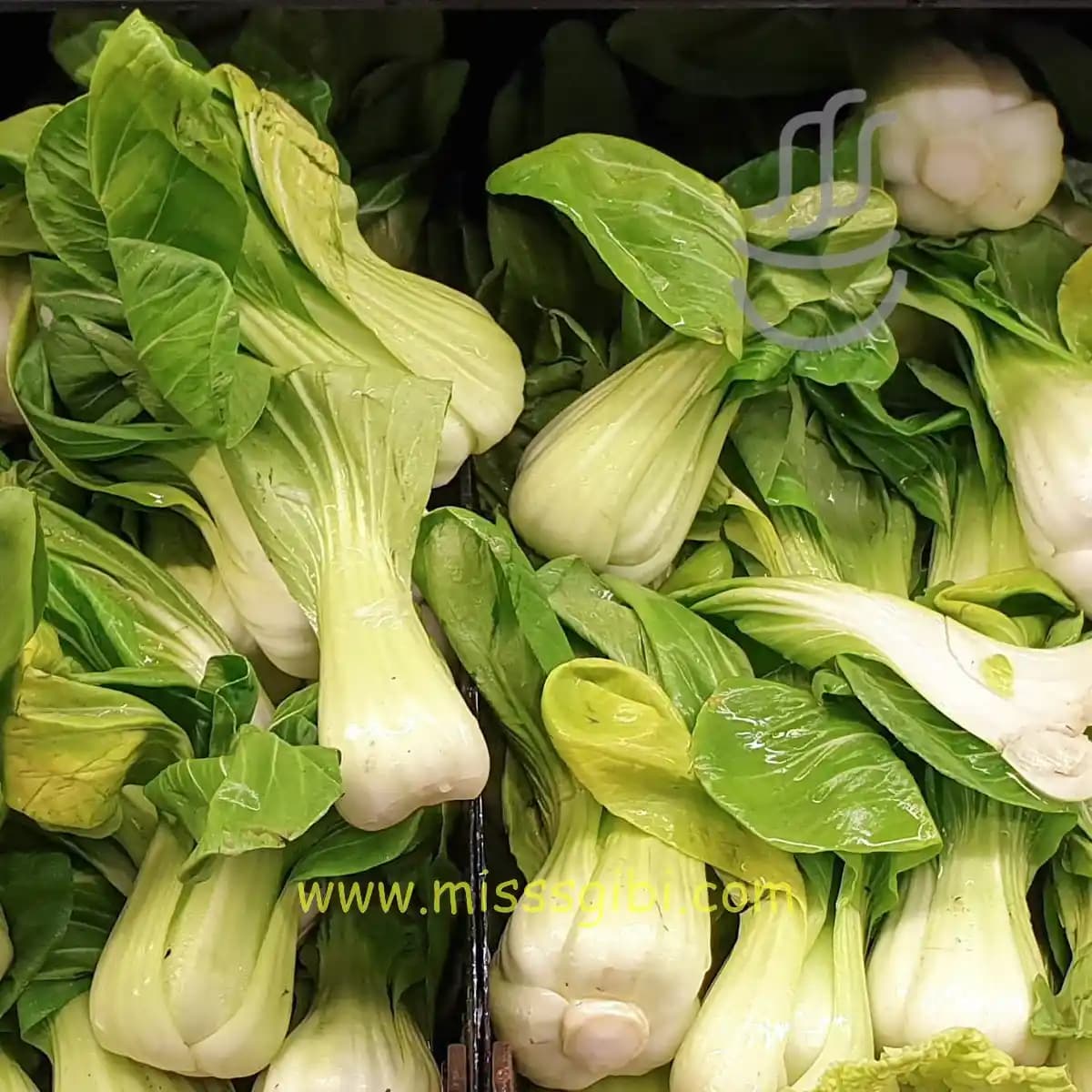 2025'te Çin Lahanasıyla Sofralarınızı Şenlendirin: Sağlık ve Lezzetin Sırrı