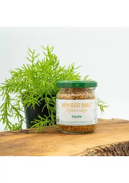 Köyceğiz Balı ve Arı Poleni 100 g Cam Kavanoz – Doğal Takviye