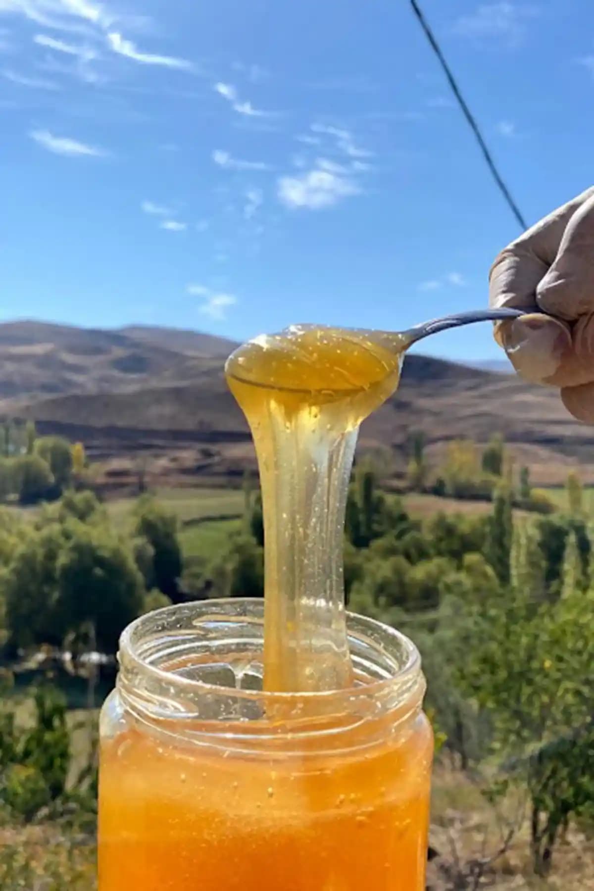 Köyden Gelsin Süzme Bal 850 g: Doğal, Katkısız Aromatik Bal Özellikleri ve Kalitesi