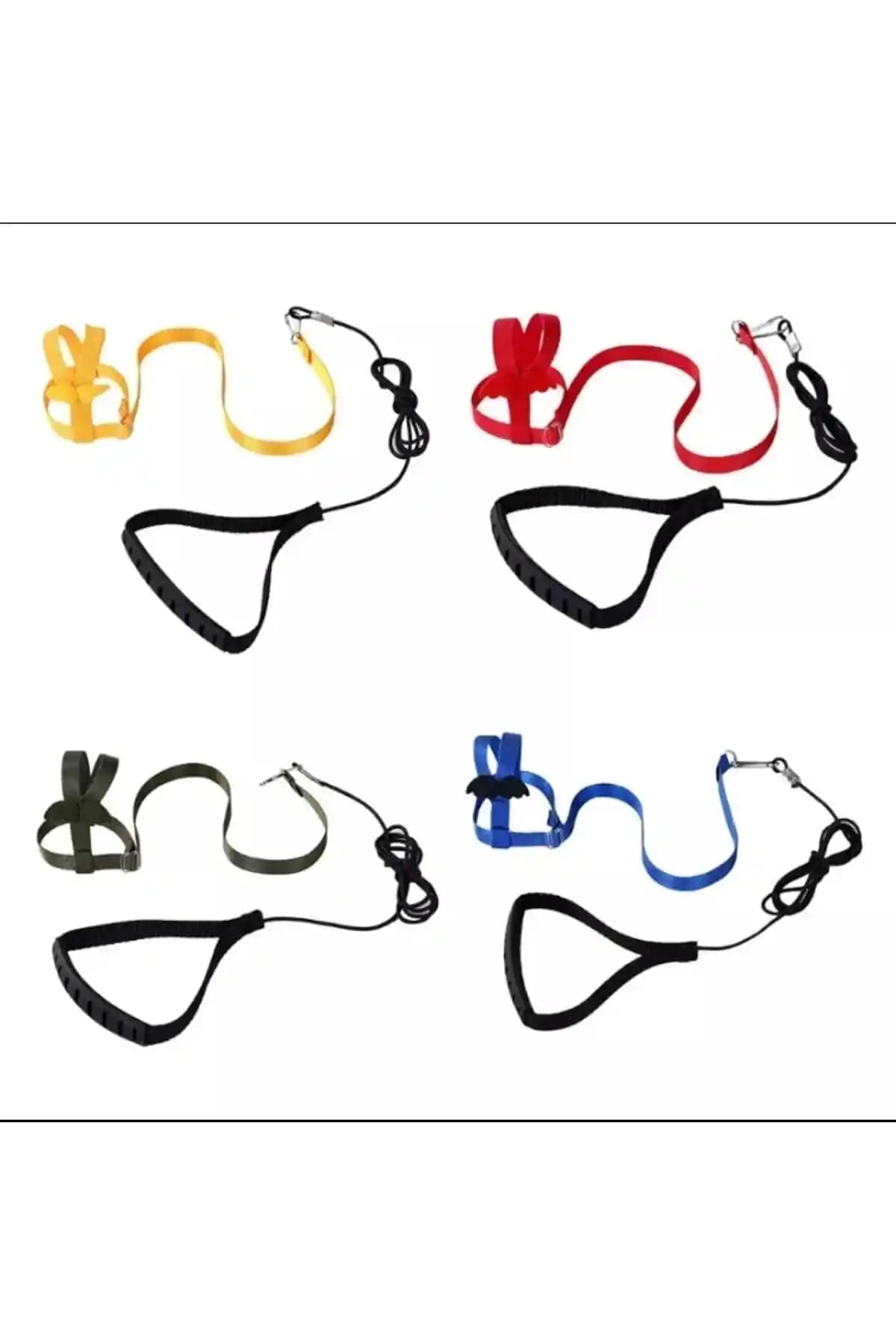 Mavi Kaktüs Muhabbet Kuşu Tasması: Güvenli Dış Mekân Gezintileri İçin Rehber