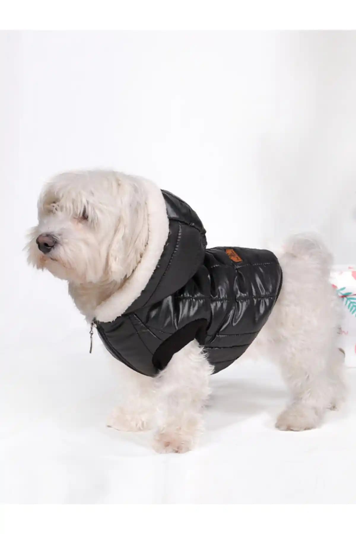 Peti Tailor JESICA Köpek Montu: Küçük–Orta Irklar İçin Su Geçirmez Ekose Astar