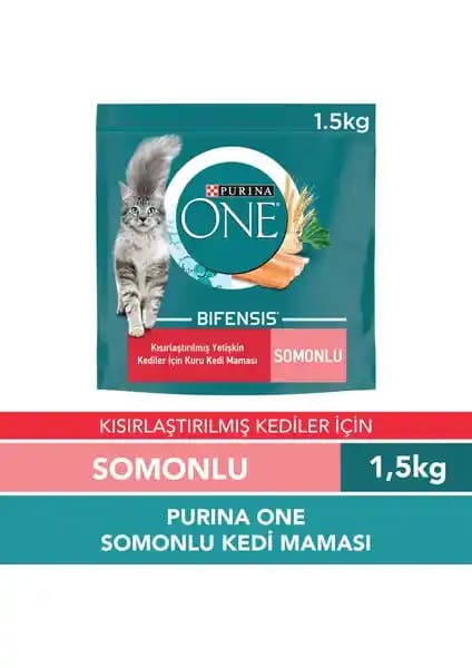 Purina One Somonlu Kısırlaştırılmış Kedi Maması - Kilo Yönetimi ve İdrar Yolu Desteği